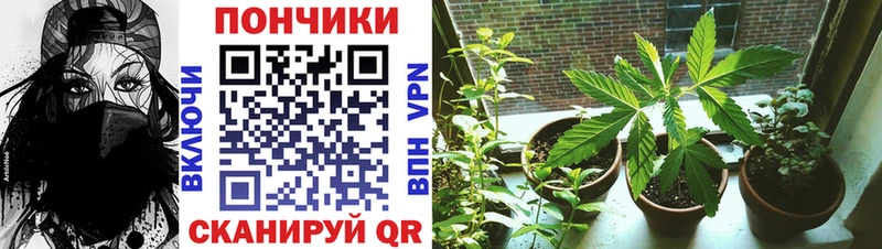 Магазины продажи наркотиков Балтийск A-PVP  Канабис  Кокаин  Меф мяу мяу  ГАШ 