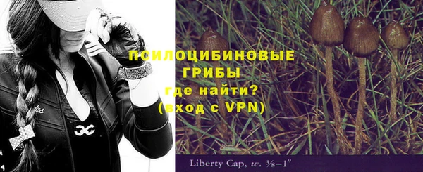 прущая мука Армянск
