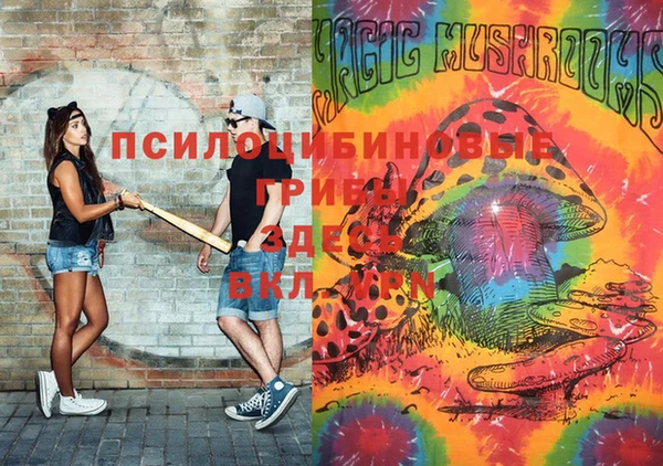 прущая мука Арсеньев