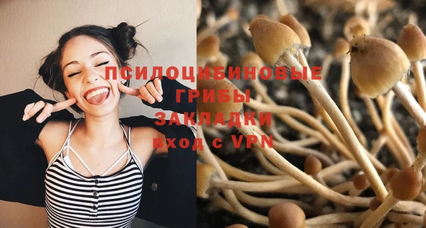 прущая мука Армянск