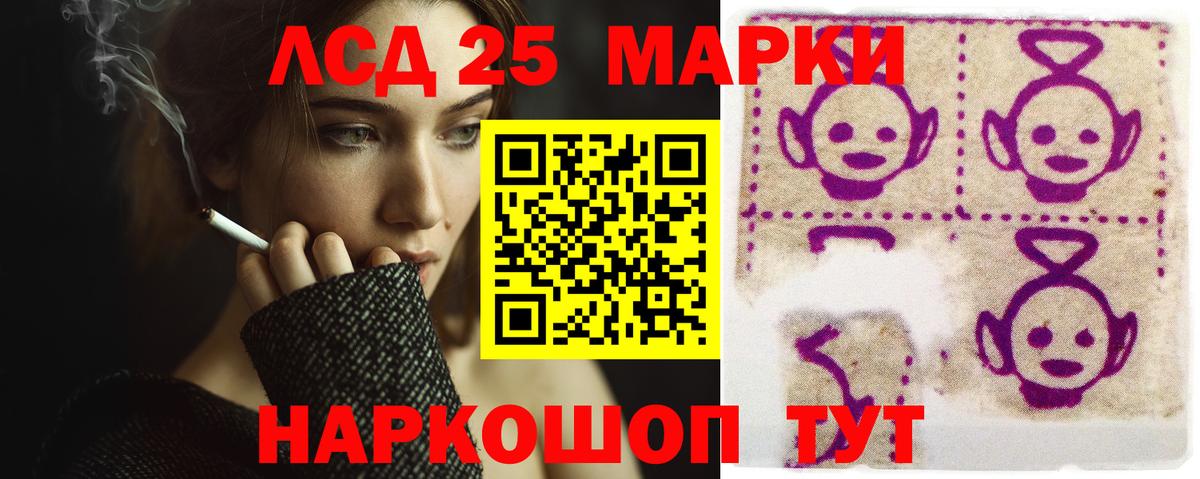 МЕФ Балтийск