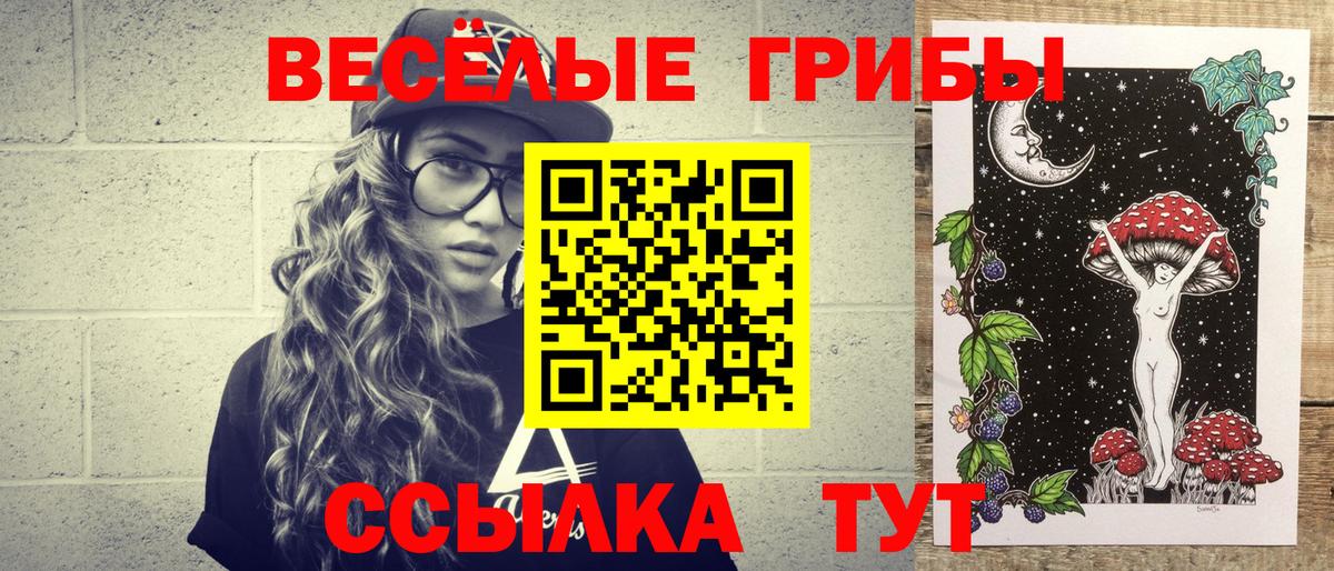 Псилоцибиновые грибы прущие грибы Балтийск