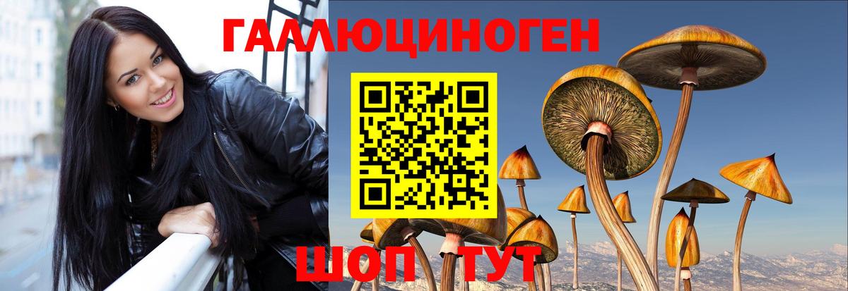 Псилоцибиновые грибы Magic Shrooms  Вход с VPN  Балтийск  Псилоцибиновые грибы Cubensis 