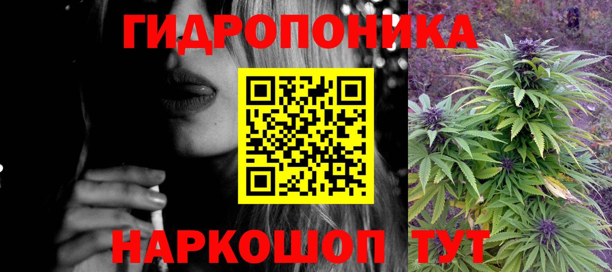 Шишки марихуана OG Kush Балтийск